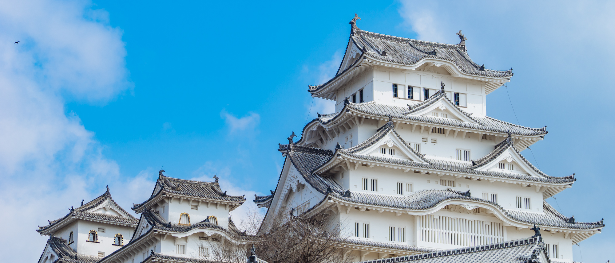 2019 Japan Trip Day 2 Visit Himeji Castle