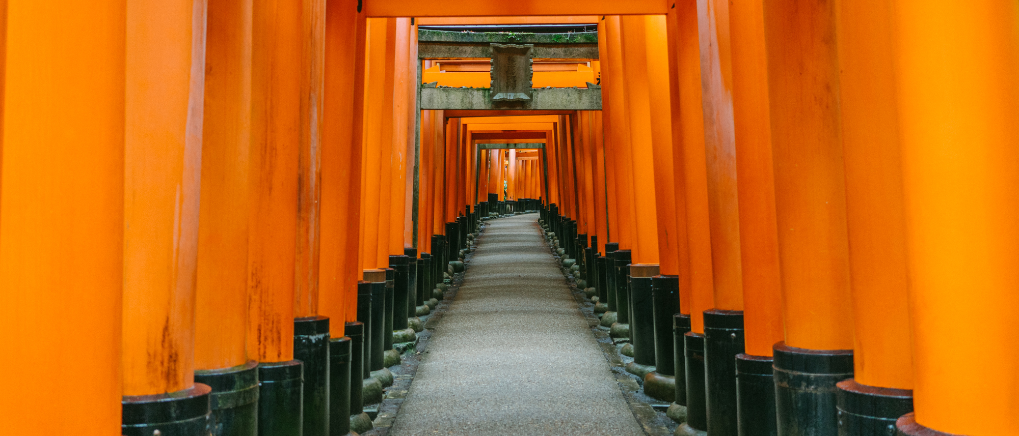 Featured image of post 2019日本行 – 第五天告别Kyoto之伏见稻荷大社和宇治平等院